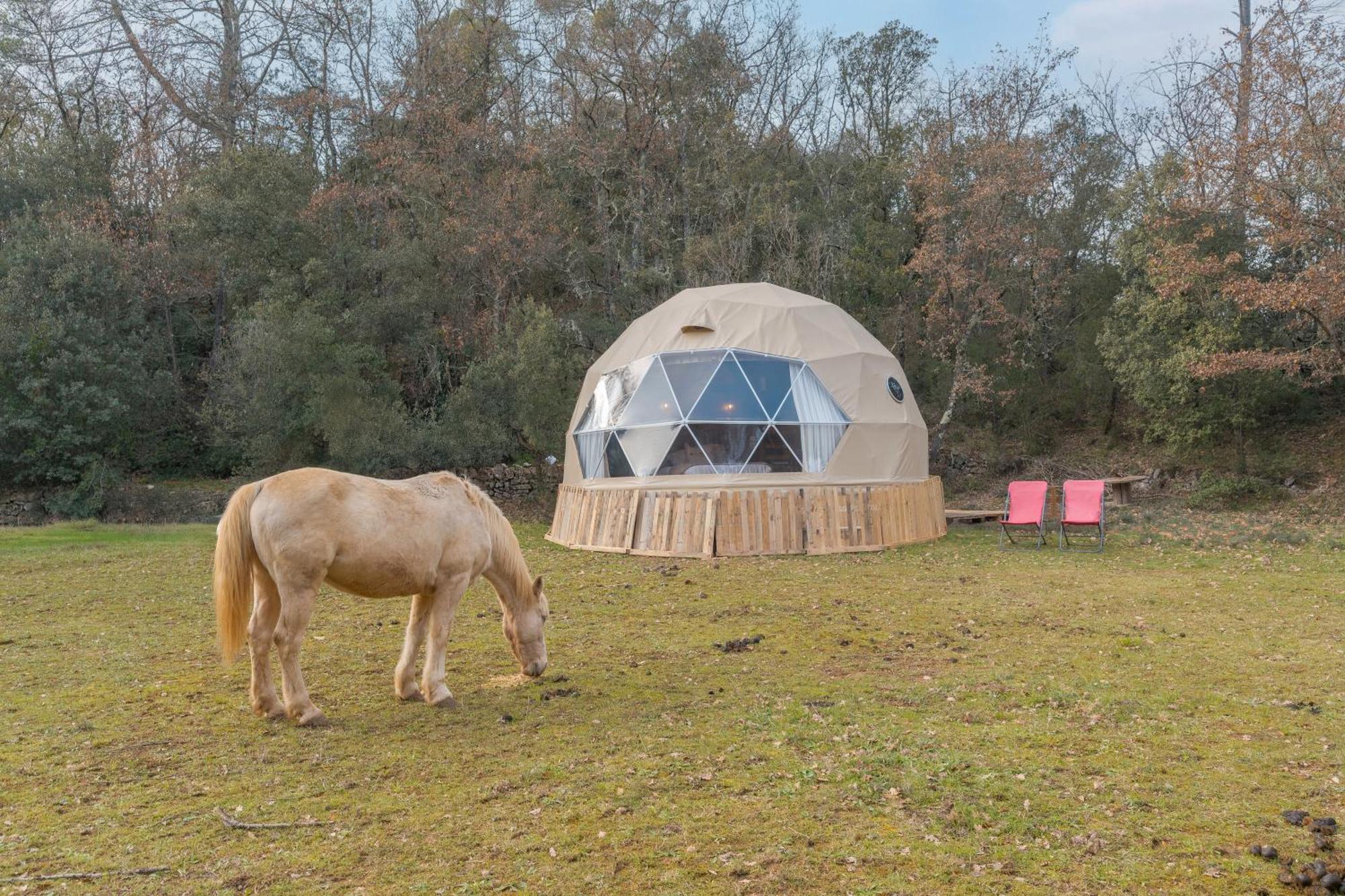 La Cabane Aux Chevaux Varages Eksteriør bilde