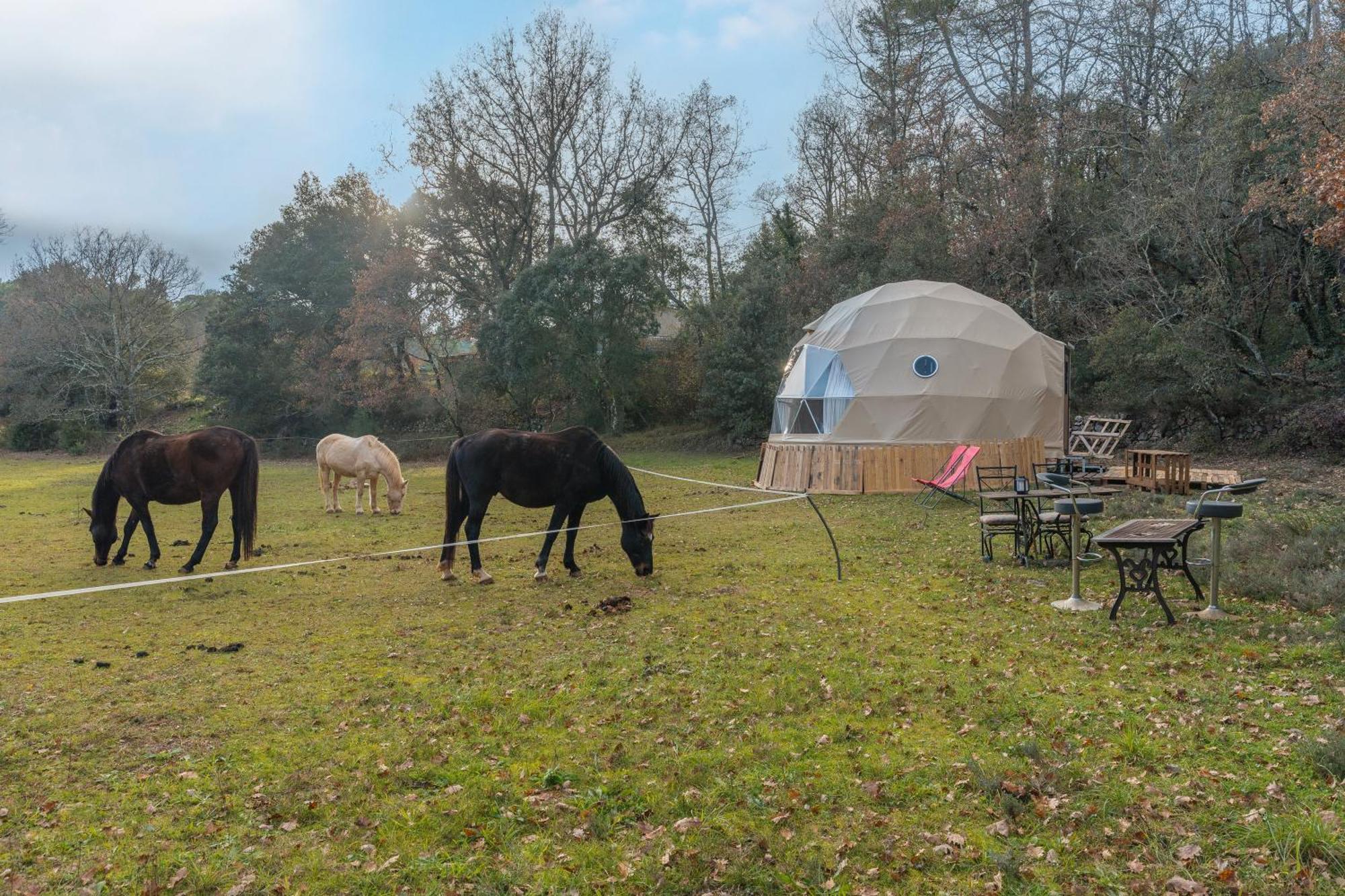 La Cabane Aux Chevaux Varages Eksteriør bilde